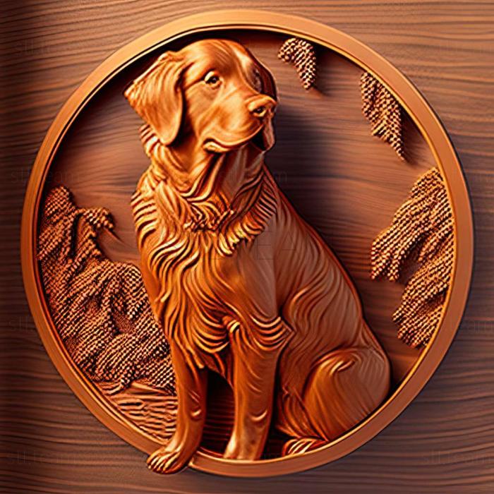 3D model The Nova Scotia Retriever dog (STL)